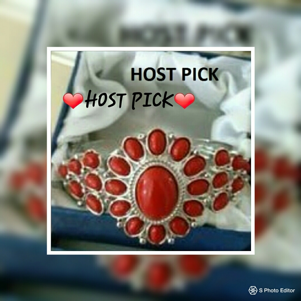 💥HOST PICK 💥9/02 Red Howlite Silvertone Jewelry